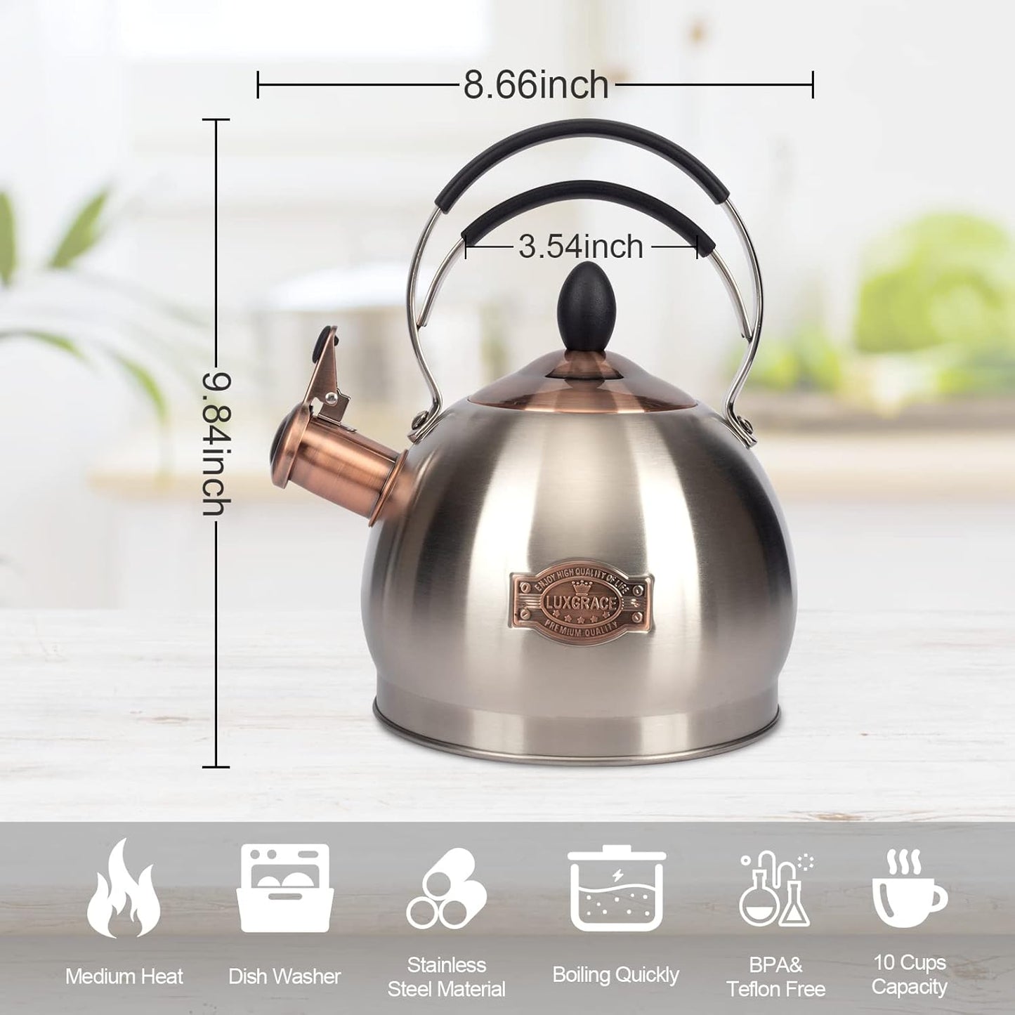 Whistling Tea Kettle Stainless Steel Teapot, Teakettle for Stovetop Induction Stove Top, Fast Boiling Heat Water Tea Pot 2.6 Quart