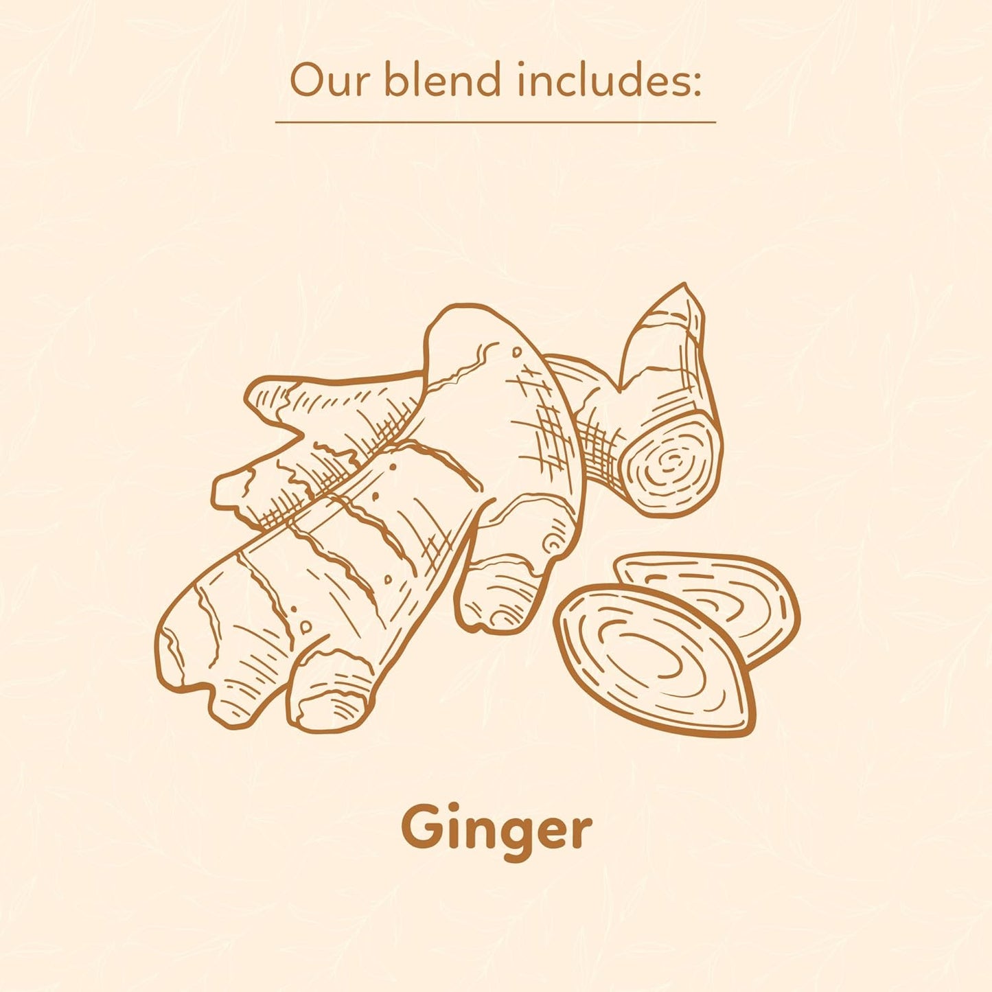 Indochine Blends, Ginger Tea Bags, 50 Teabags, 2g/bag, Individually Wrapped Envelopes, Caffeine-free, No Sugar, Healthy Belly Herbal Tea Supports Digestion & Boosts the Immune System